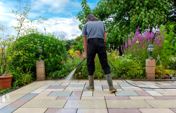 Best Animal Enclosure Cleaning  in Shorewood Tower Hills Harbert, MI